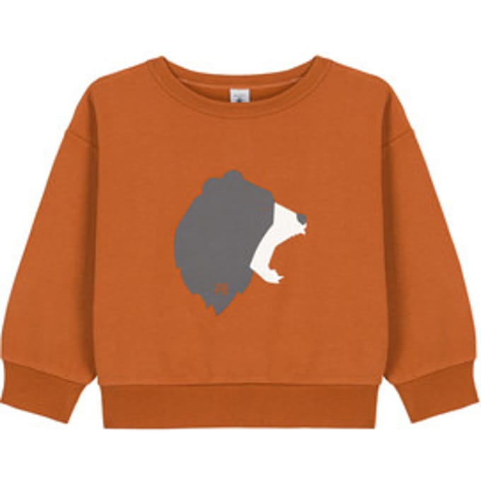 Petit Bateau  Sweaters CARTABLE