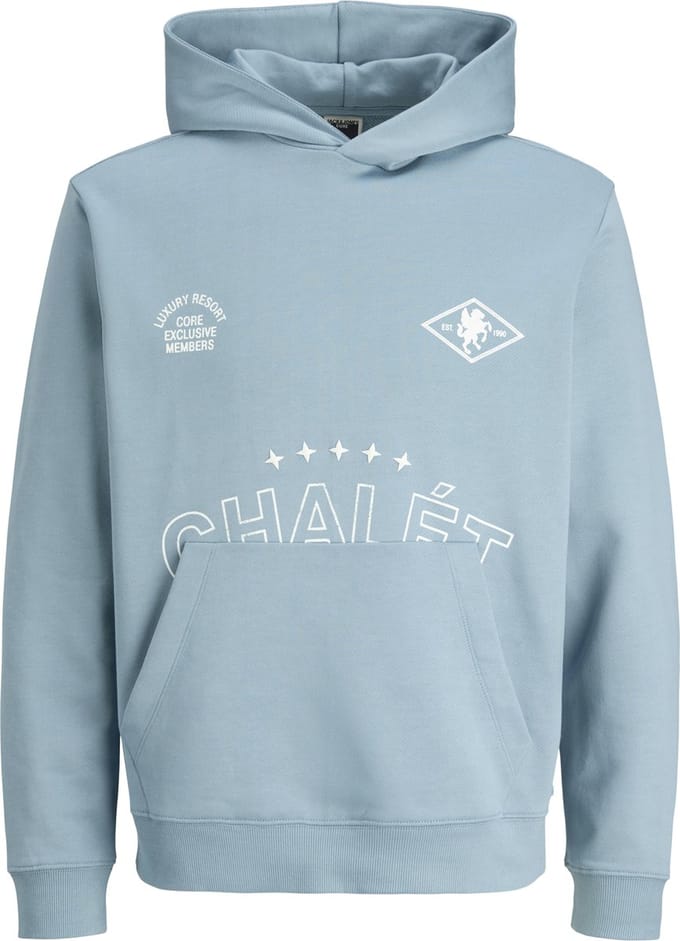 JACK&JONES - JCOCREST PRINT SWEAT HOOD - Heren - Sweaters