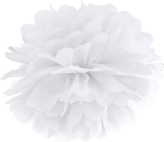 Wit Pompom Decoratie 25cm Wit