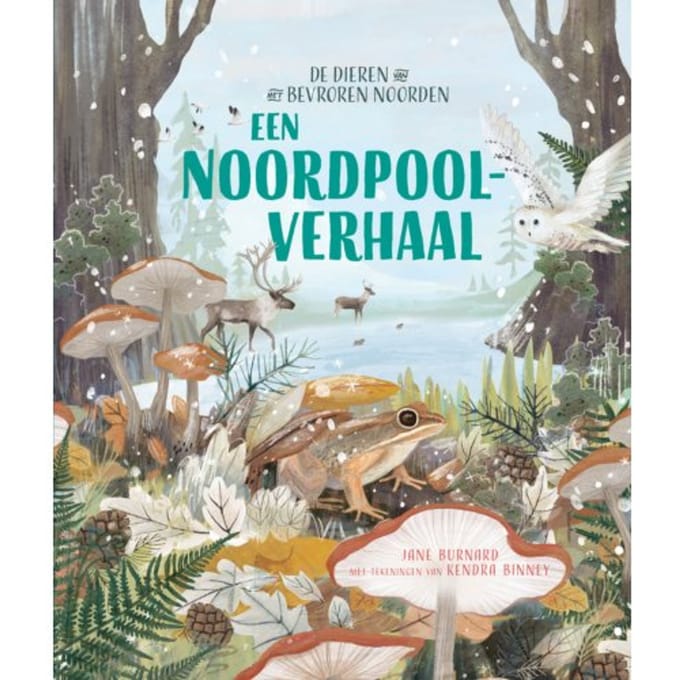 Een Noordpoolverhaal - Jane Burnard