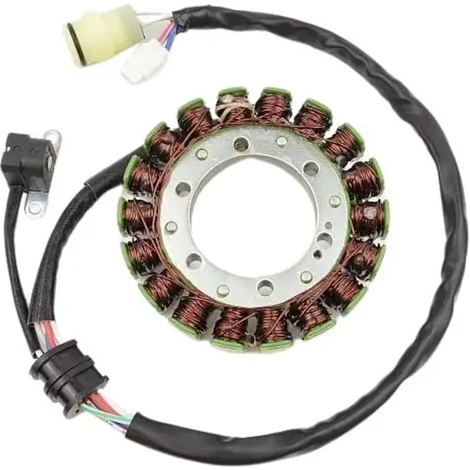 Originele aanpasbare motor dynamo Electrosport Yamaha