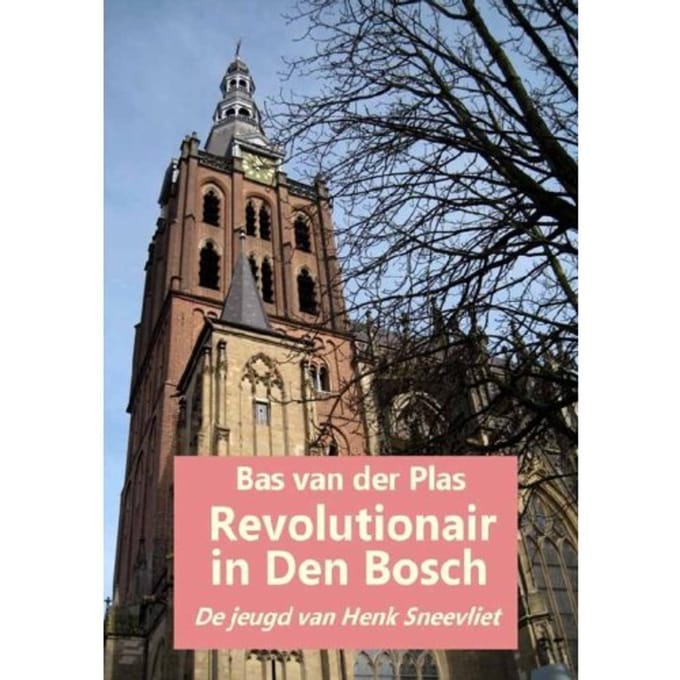 Revolutionair In Den Bosch - Bas van der Plas