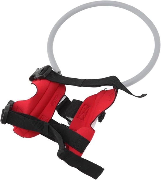 Blind Hondentuig Leidingapparaat met Halo en Anti Collision Ring
