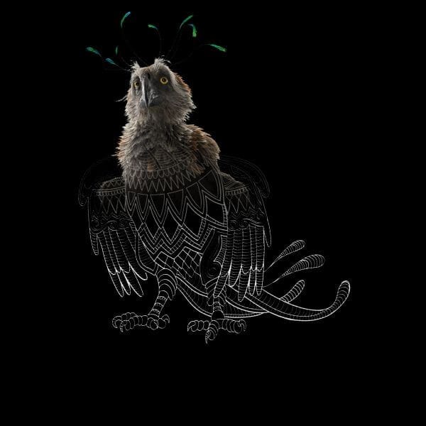 Fantastic Beasts Tribal Augurey dames t-shirt - Zwart - S
