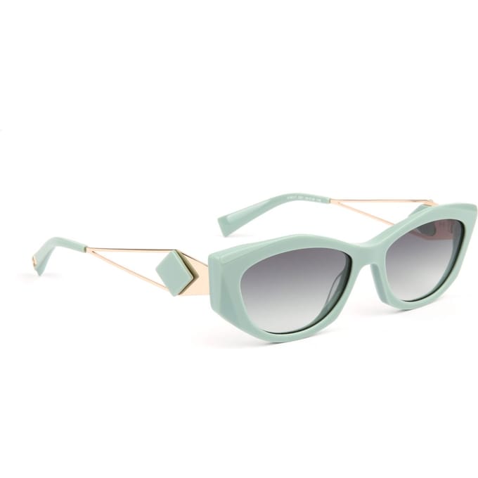 Ana Hickmann Sunglasses HI9217 D01 55