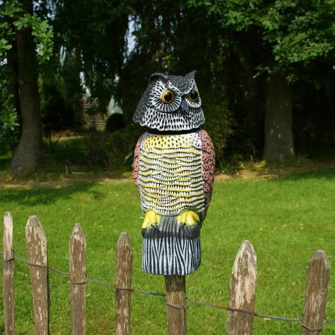 Roterende uil gele borst als vogelverschrikker