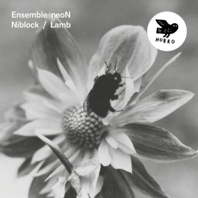 Ensemble Neon - Niblock / Lamb (CD)