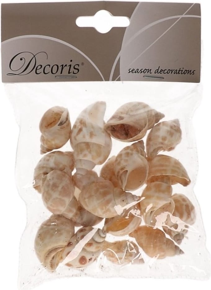 Decoris Strombus Canarium - decoratie schelpen 4 cm - natuurlijk - maritiem - strand thema