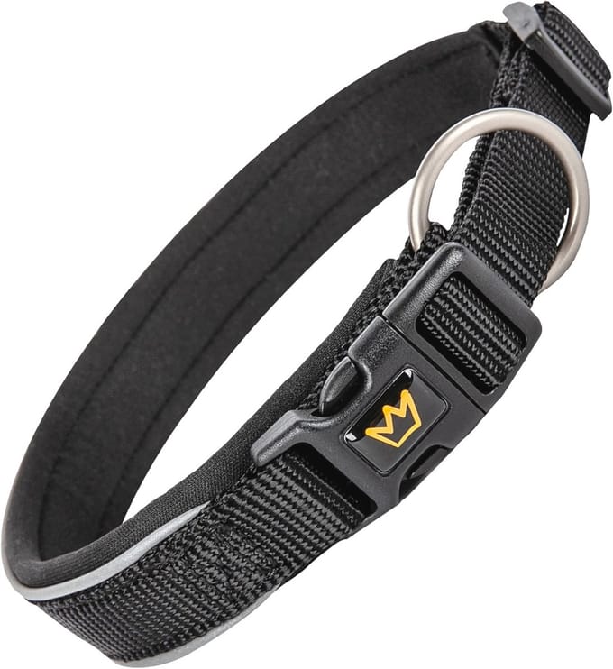 Verstelbare Reflecterende Hondenhalsband - Zwarte Halsband voor Grote Honden