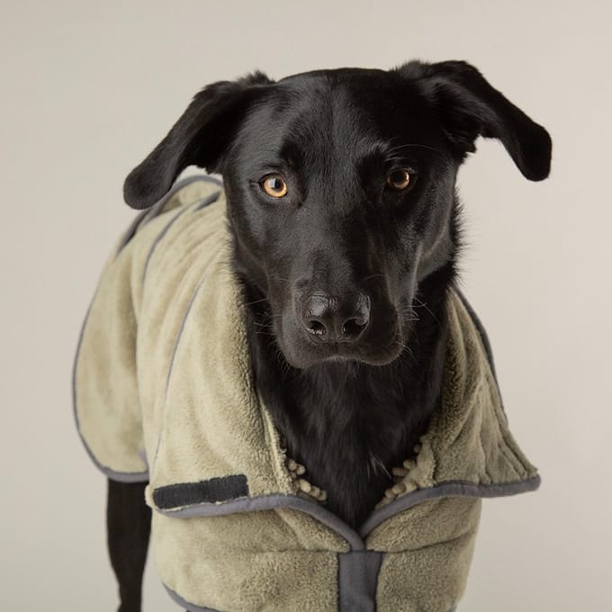 Scruffs - Expedition Deluxe Noodle Dog Drying Coat Kleur: Sage Green Maat: Medium