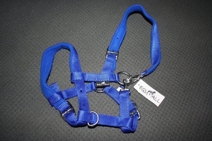HB Equ-all veulenhalster Easy Click - royal blue