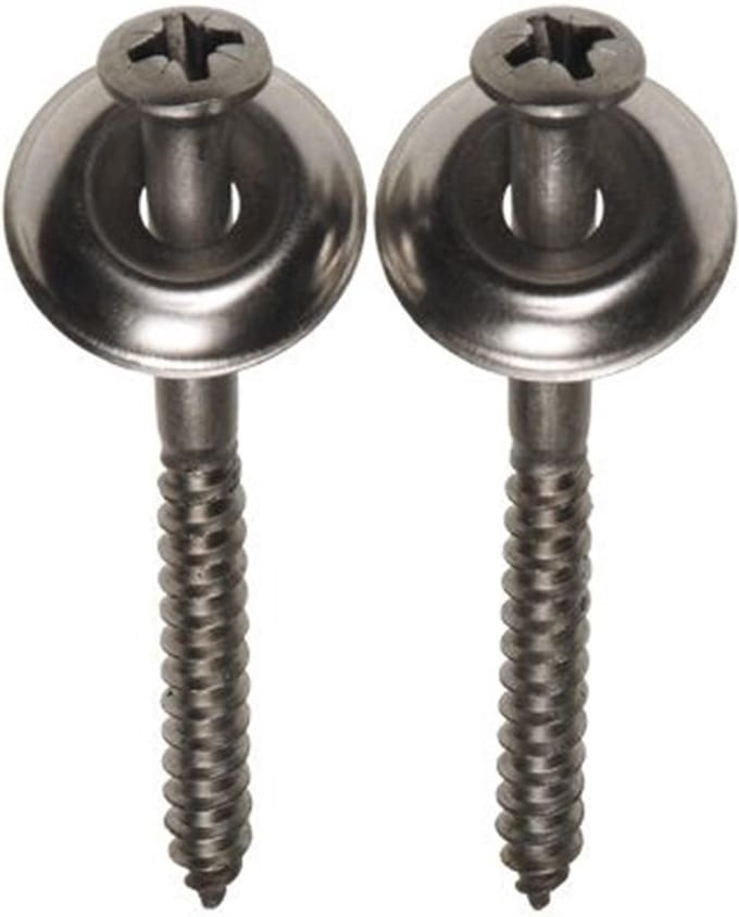 Asf Schroef Rvs 70Mm+Plug+Krlring 2/Set