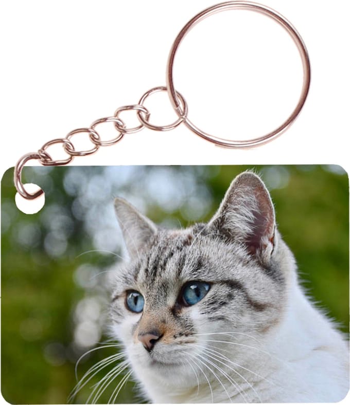 Sleutelhanger 6x4cm - Poes Wit/Tijger Close-up
