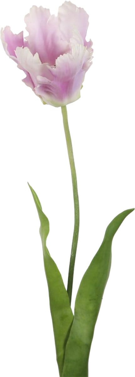 Viv! Home Luxuries Tulp Papegaai - zijden bloem - wit lavendel paars - 69cm