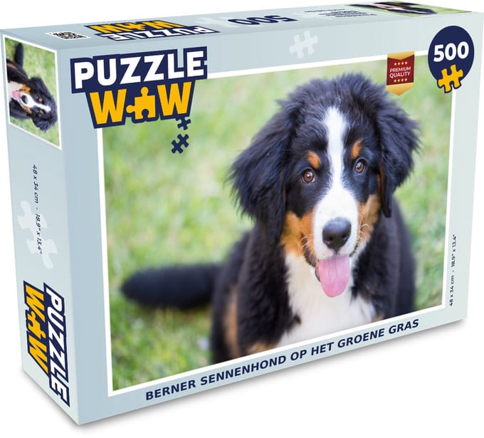 Puzzel Berner Sennenhond op het groene gras - Legpuzzel - Puzzel 500 stukjes