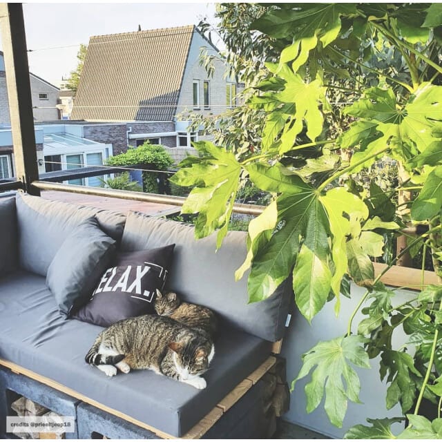 Gek op kussens! Relax outdoor | 45 x 45 cm | kussenhoes | polyester