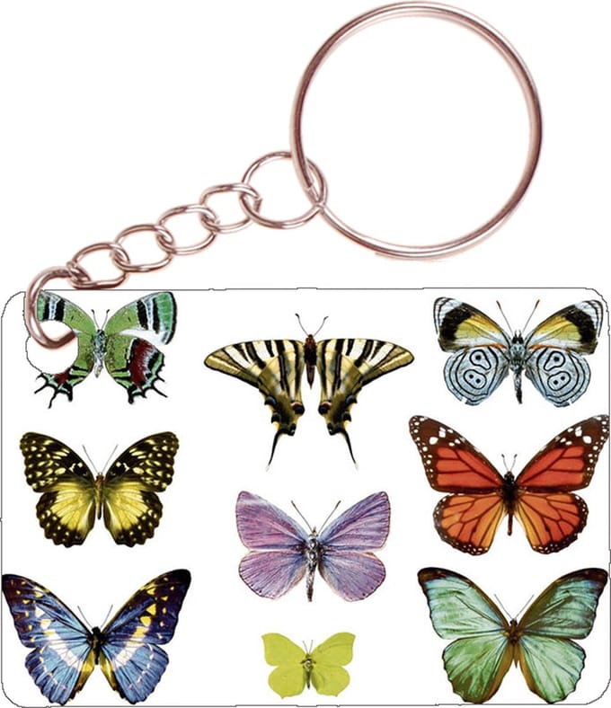 Sleutelhanger 6x4cm - Diverse Vlinders - Verzameling