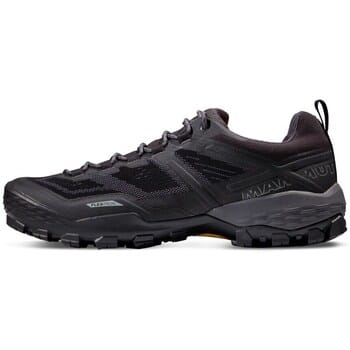 Wandelschoenen Mammut Ducan Low Gtx 22