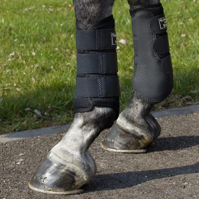 3d beenkappen Back on Track mesh
