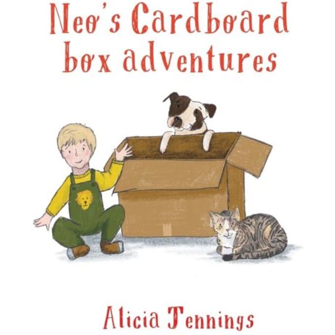 Neo's Cardboard Box Adventures - Alicia Jennings