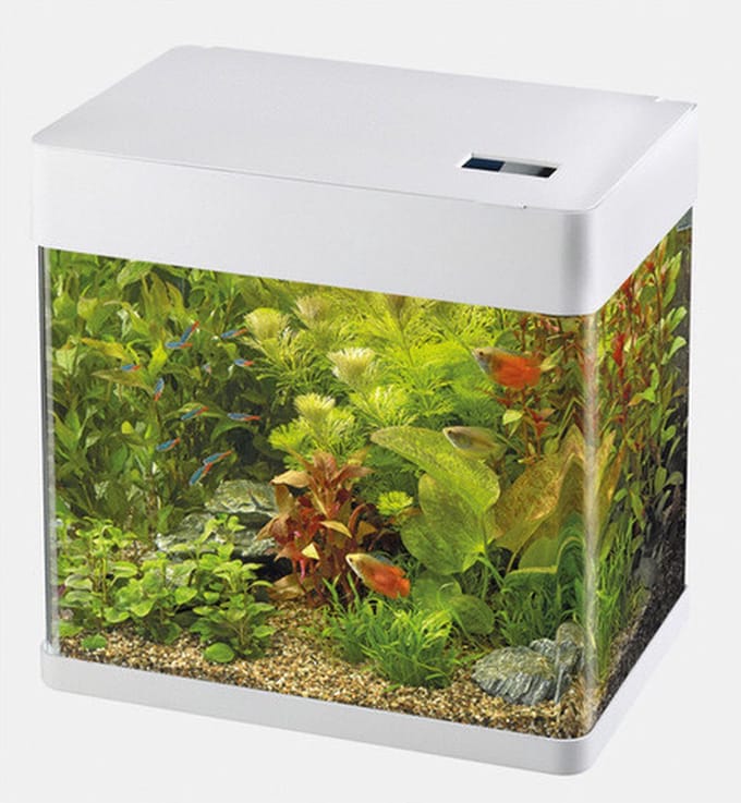 Panorama Aquarium - 32x23x35.5 cm - 20L - Wit