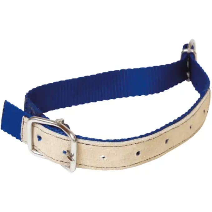 Nylon halsband voor schapen Kamer