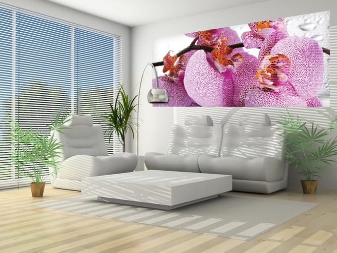 Flowers Orchids Drops Photo Wallcovering