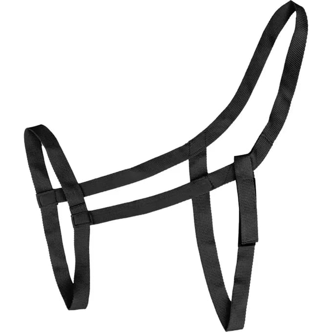 Halsband voor grasland pony Waldhausen