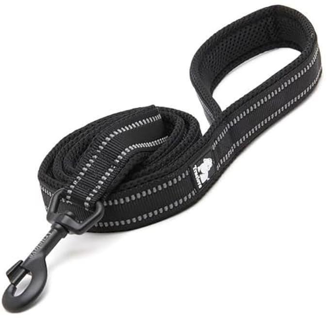 Hondenriem voor Puppy’s - Gewatteerde Reflecterende Wandelriem 200 cm
