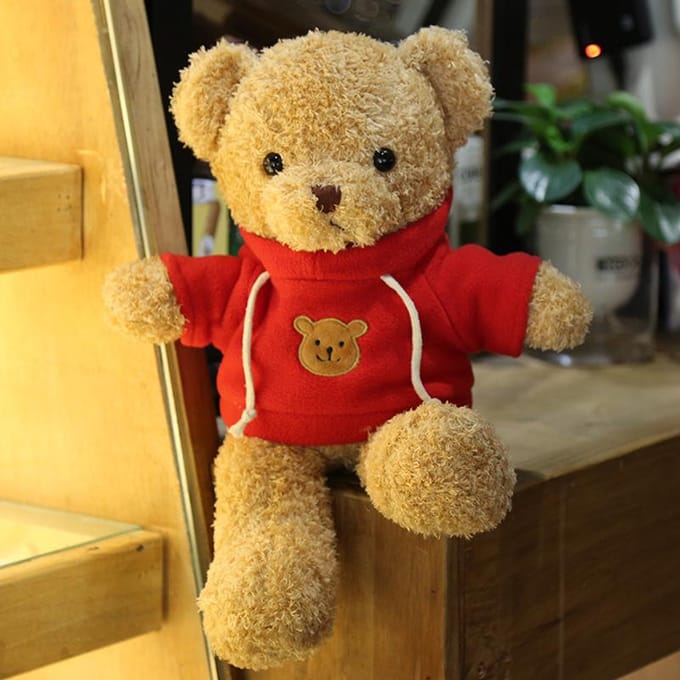 Sweatshirt Beer Trui Beer Pluche Speelgoed Kleding Teddybeer Pop 30cm