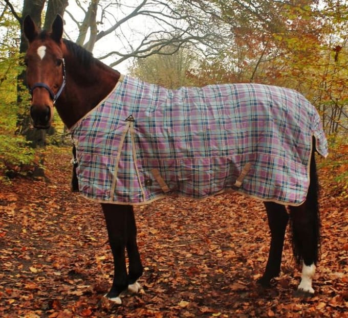 MHS regendeken Luna 0 Gram paars 55/70 cm