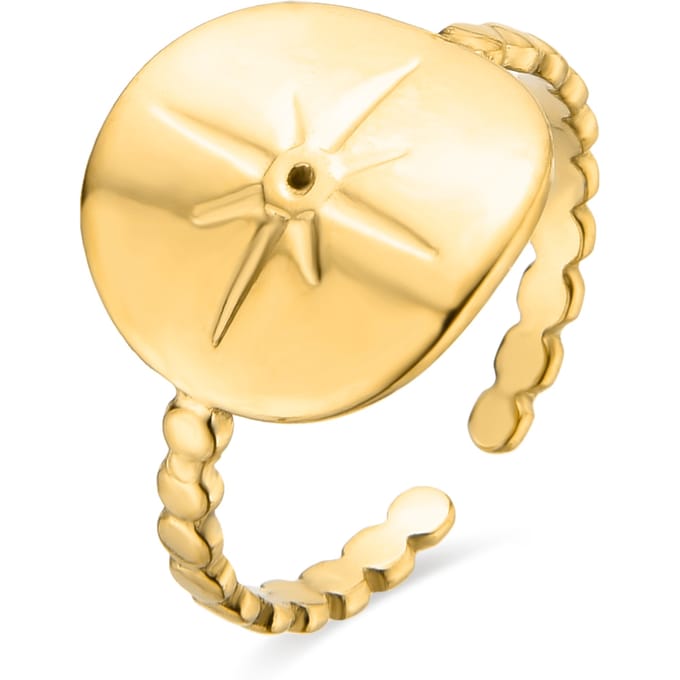 Luxenter ring in 18K geel goud afwerking briljant zirkonia - Leri