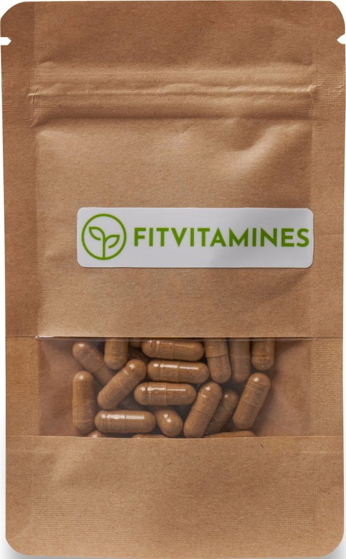 Ginkgo Biloba 50:1 | 60 vegan (HPMC) capsules