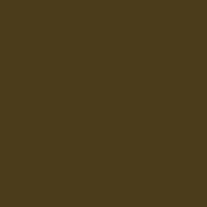 Olieverf - Rembrandt - RAW UMBER - 40ml - Bruine kleur - Lichtechtheid