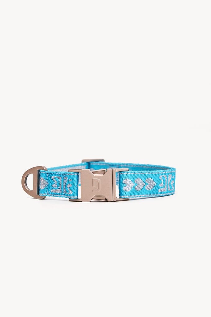 Dogguo Collar Blauw&Zilver - Hondenhalsband - Medium Grootte Honden