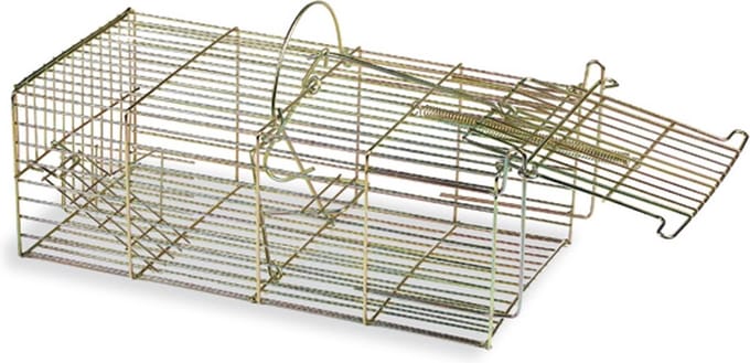 Ratten inloopval