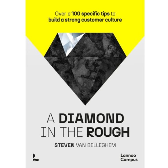 A Diamond In The Rough - Steven Van Belleghem