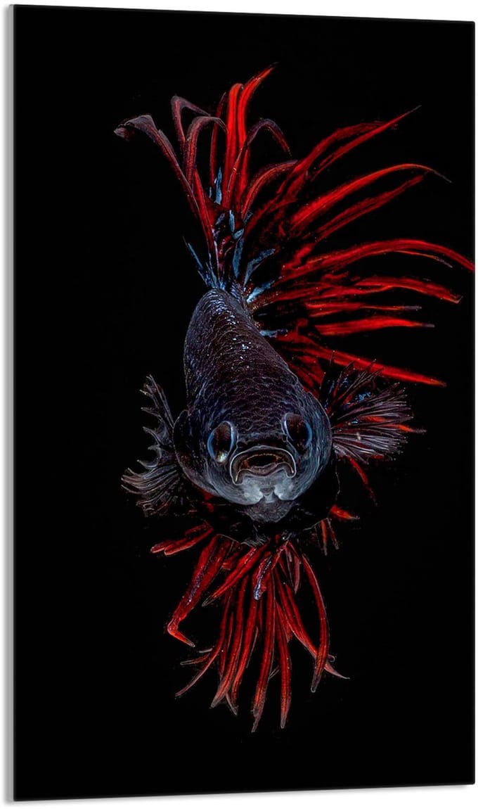 TMK ArtDeko - Snijplank - Glas - 30x52 cm - Visontwerp