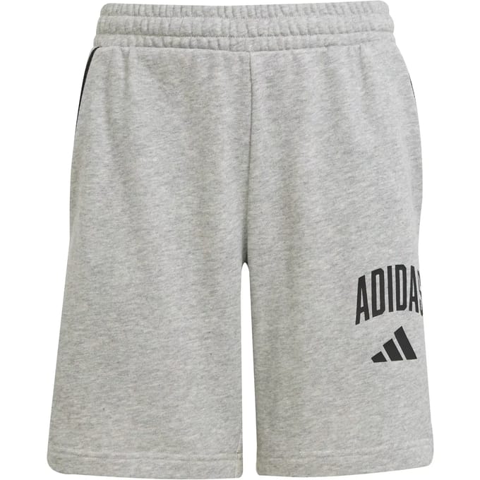 Adidas Seasonals Essentials Collegiate Typography Korte Broek Grijs 11-12 Years Kinderen