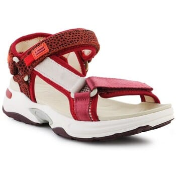 Platte sandalen D.Franklin DFSH406003BURG