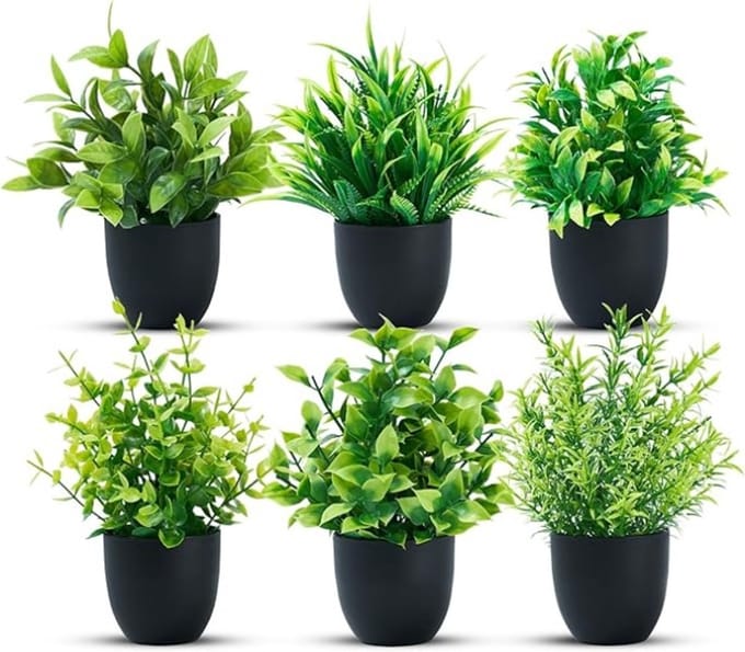 Set van 6 Mini Kunstplanten in Zwarte Potten voor Binnen