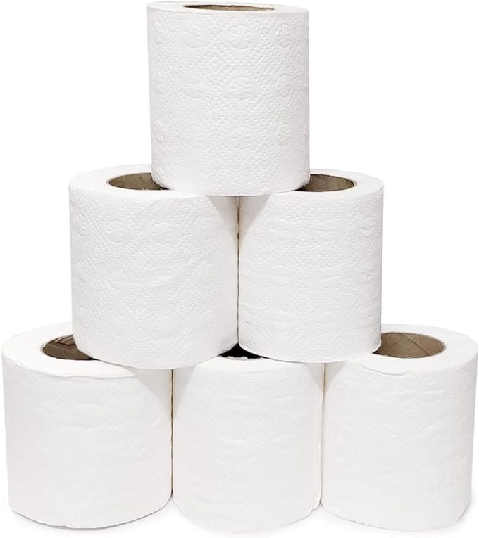 Zacht 2-laags Toiletpapier - 6 Rollen - Extra Absorberend