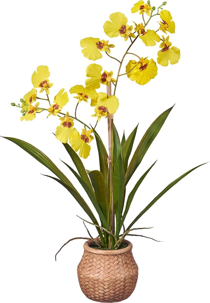 Kunstplant wilde Orchidee 2-tak geel H43cm - HTT Decorations kunstplanten