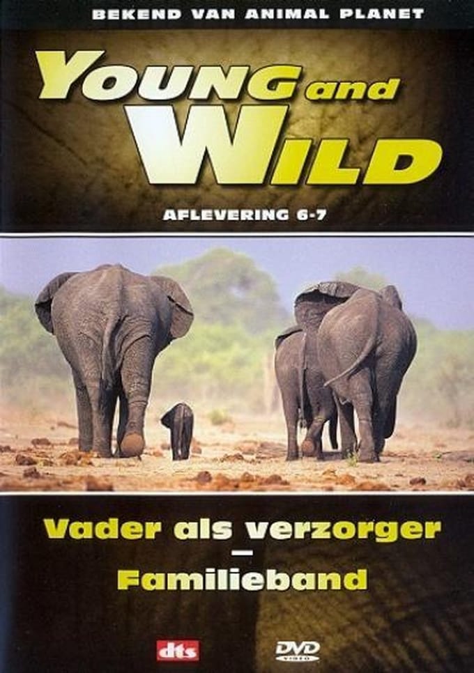 Special Interest - Young And Wild
