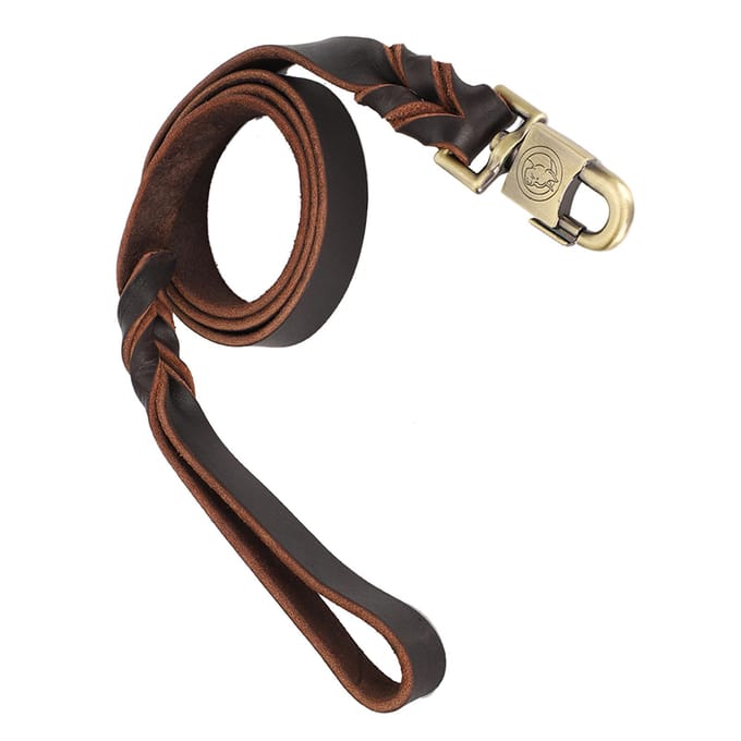 1pc Soft Leather Dog Collar & Leash in Braided Pet Chain (2.5 x 150cm) black