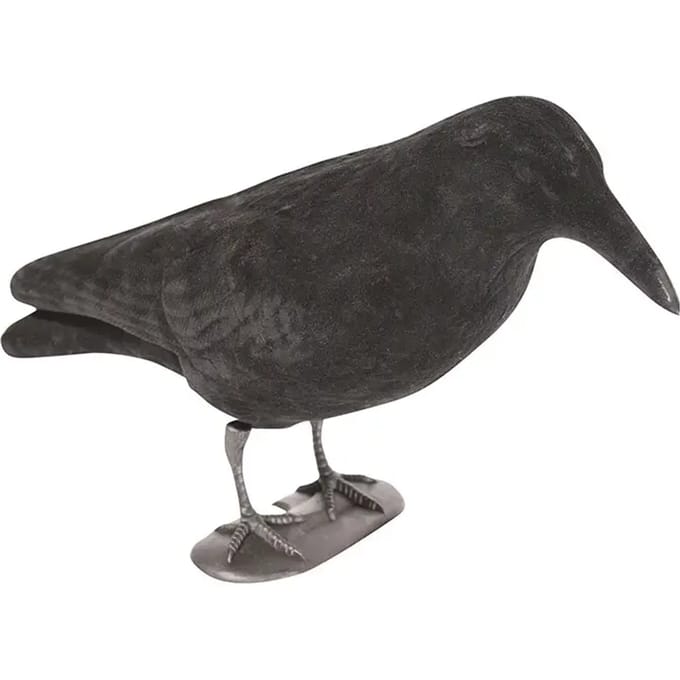 Lok Jack Pyke Crow