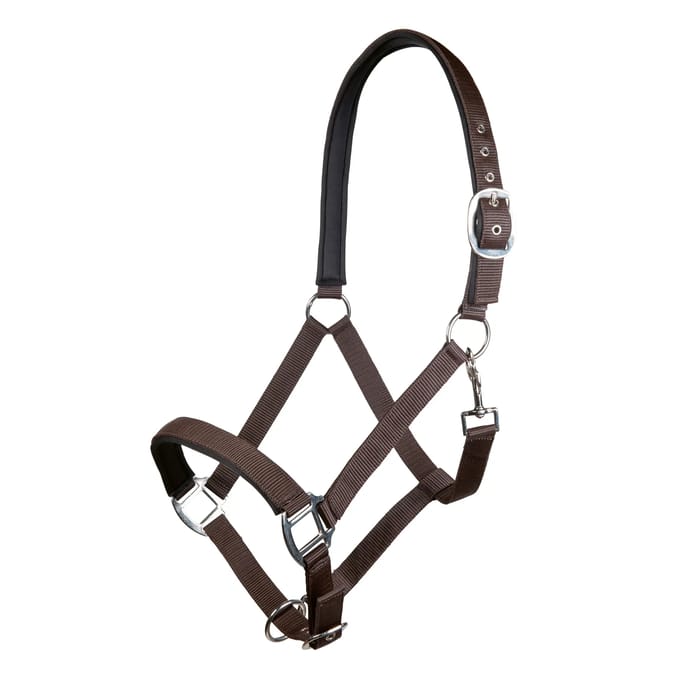 Nylon halster voor paard met zachte voering HKM Charming