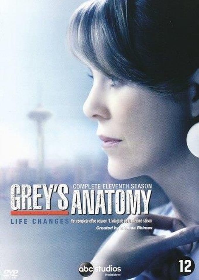 Grey's Anatomy - Seizoen 11 (DVD)