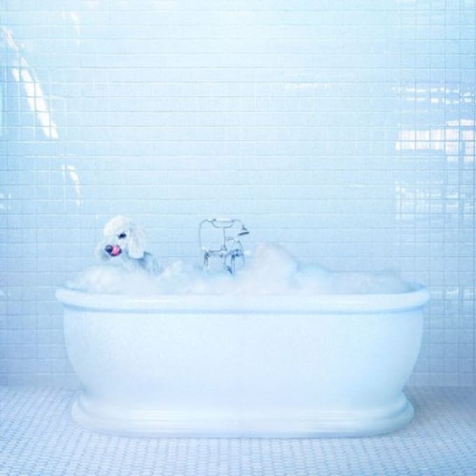 Frankie Cosmos - Vessel (LP) (Coloured Vinyl)
