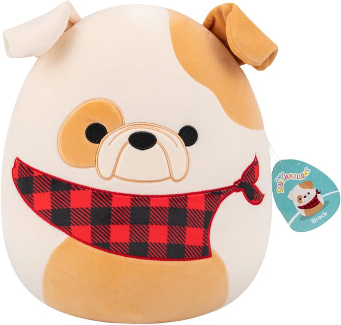 Squishmallows - Medium Plush 30cm Brock - White And Tan Bulldog W/Plaid Bandana